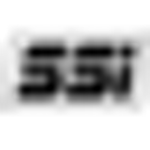 Safety Service Inc - Logo