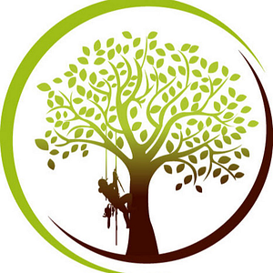 Clean Cuts Trees