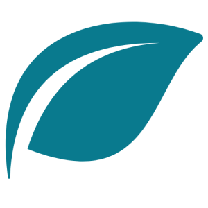 Wholesome Clinic - Integrative Psychiatry & Wellness