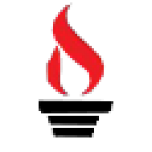 Pro Ace Heating - Logo
