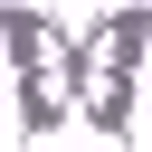 Butterfly Method Skincare - Logo