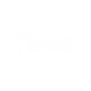 Zimm's Guitars - Logo