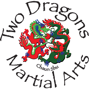 Two Dragons Martial Arts Studio - Logo