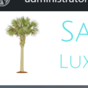 SHANGRI LA @ DOWNTOWN SAVANNAH - Logo