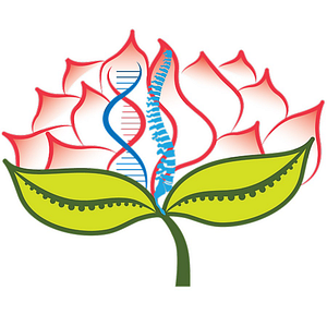 Lifestyle Rejuvenation Medical Group: Robert Higginbottom, DC - Logo