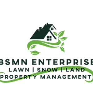 BSMN Enterprise - Logo