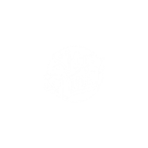 Skin + Tonic - Logo