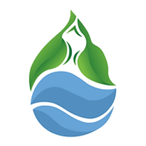 Go Green Pool Filter Clean - Logo