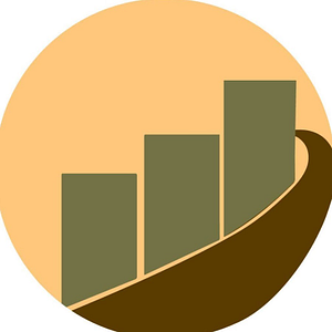 StarLite Tax Solutions - Logo