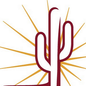 Southwest Veterinary Surgical Service, PC