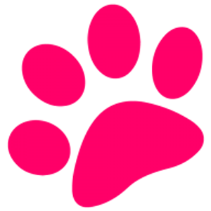 Lollipaws Grooming Services - Logo