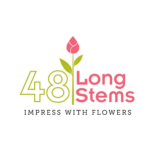 48LongStems - Logo
