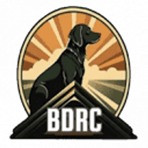 Bird Dog Roofing & Construction LLC
