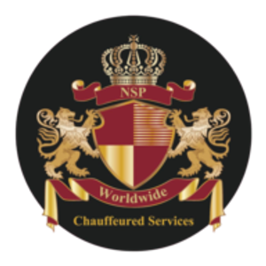 NSP Group LLC - Logo
