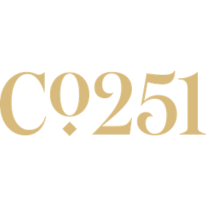 Company 251 - Logo