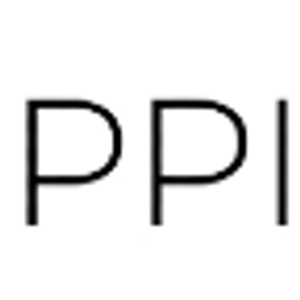 PPI REAL - PREMIER PARTNERS - Logo