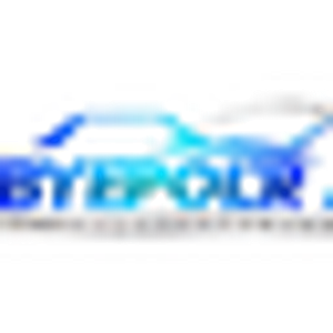 Byepolr custom performance - Logo