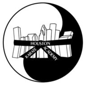 Houston Karate Academy - Martial arts school in Houston