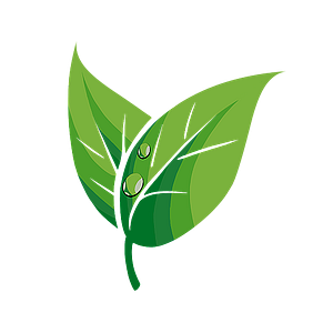 EnviroGreenery Plants, LLC - Interior plant service in Nashua