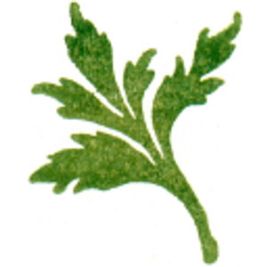 Nature's Spa - Logo