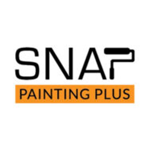 Snap Painting Plus