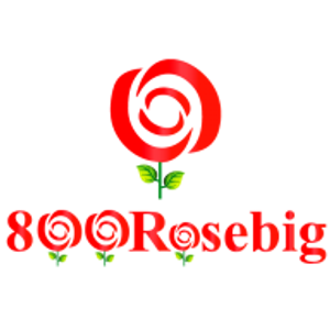 800RoseBig - Logo