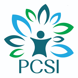 Playful Connections Sandtray Institute - Logo