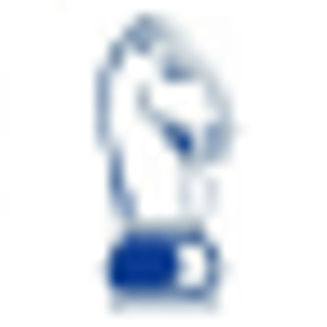 Novak Finer Homes Realty - Logo