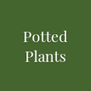 Potted Plants - Logo