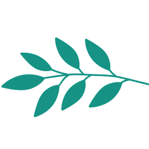 S E Jones Therapy Samuel E. Jones, PhD - Logo