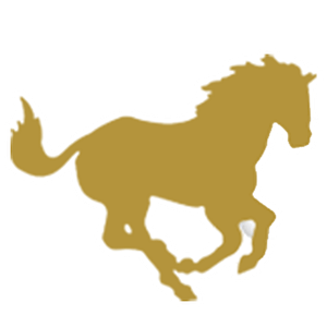 Mustang Animal Shelter - Logo