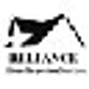 Reliance Home Inspection Services - Logo