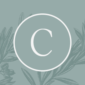 Cloudveil - Logo