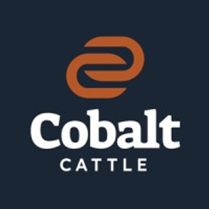 Cobalt Cattle - Garden City - Logo