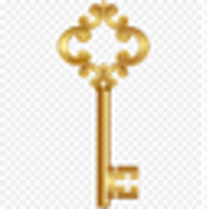 Leiser Real Estate Group - Logo
