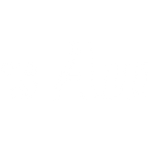 Masters Auto Detail - Logo