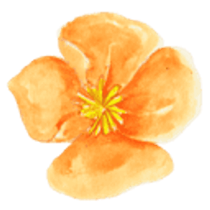 Milwaukie Floral
