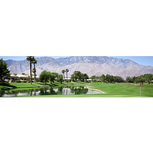 Desert Princess Palm Springs Real Estate - Logo