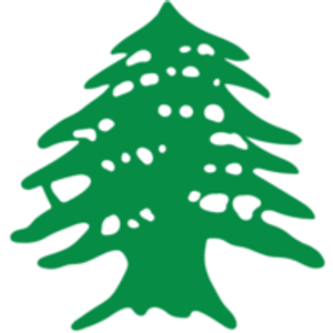That Lebanese Place