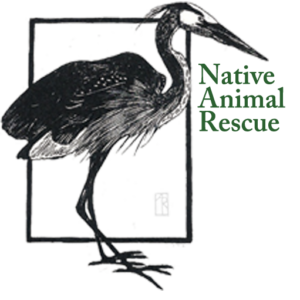 Native Animal Rescue