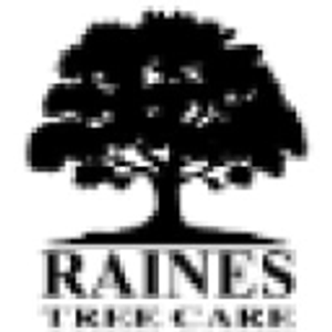 Raines Tree Care - Logo