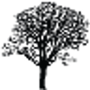 A & Y Tree Service