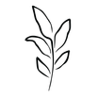 b theory aesthetics - Logo