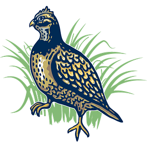 Quail Tools, LLC - Logo