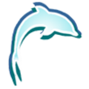 Miami Swim With Dolphin Tours