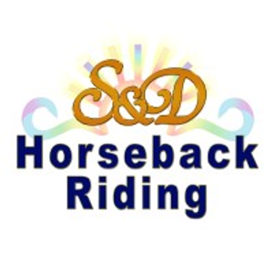 S&D Horseback Riding