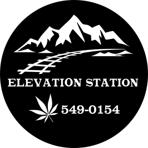 Elevation Station
