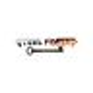 Madison Rose Mason - Steel Forged Real Estate - Logo