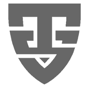 Total Safety Protection Services Corp. - Logo