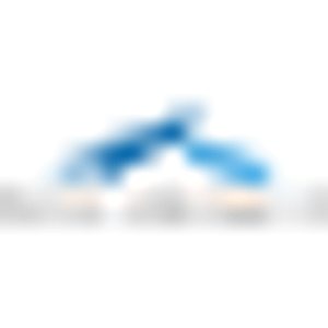 Clearview Custom Homes - Logo